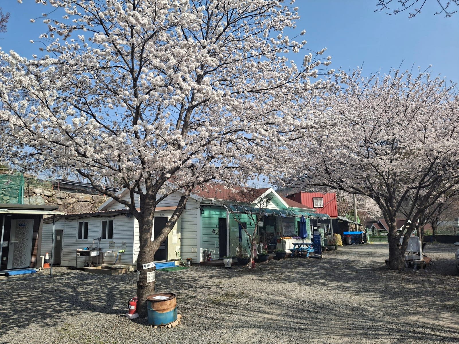 경주·보문 후기