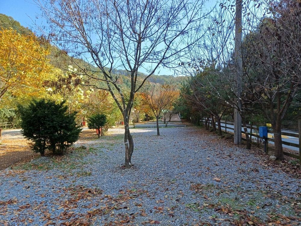 단체숙소 후기 사진 2